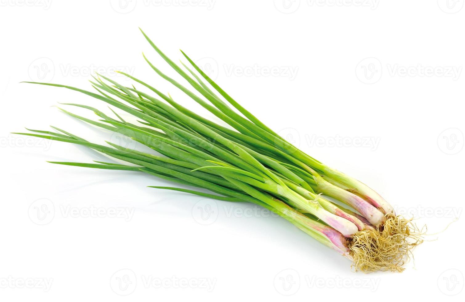 beautiful spring onions on a white background. photo