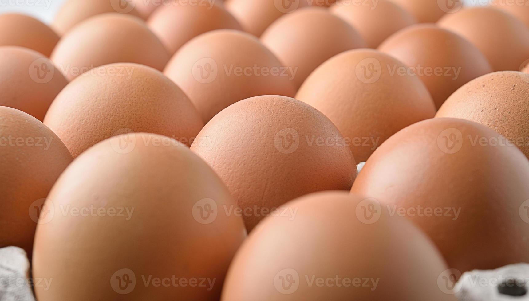 huevo de gallina en huevos de panel foto