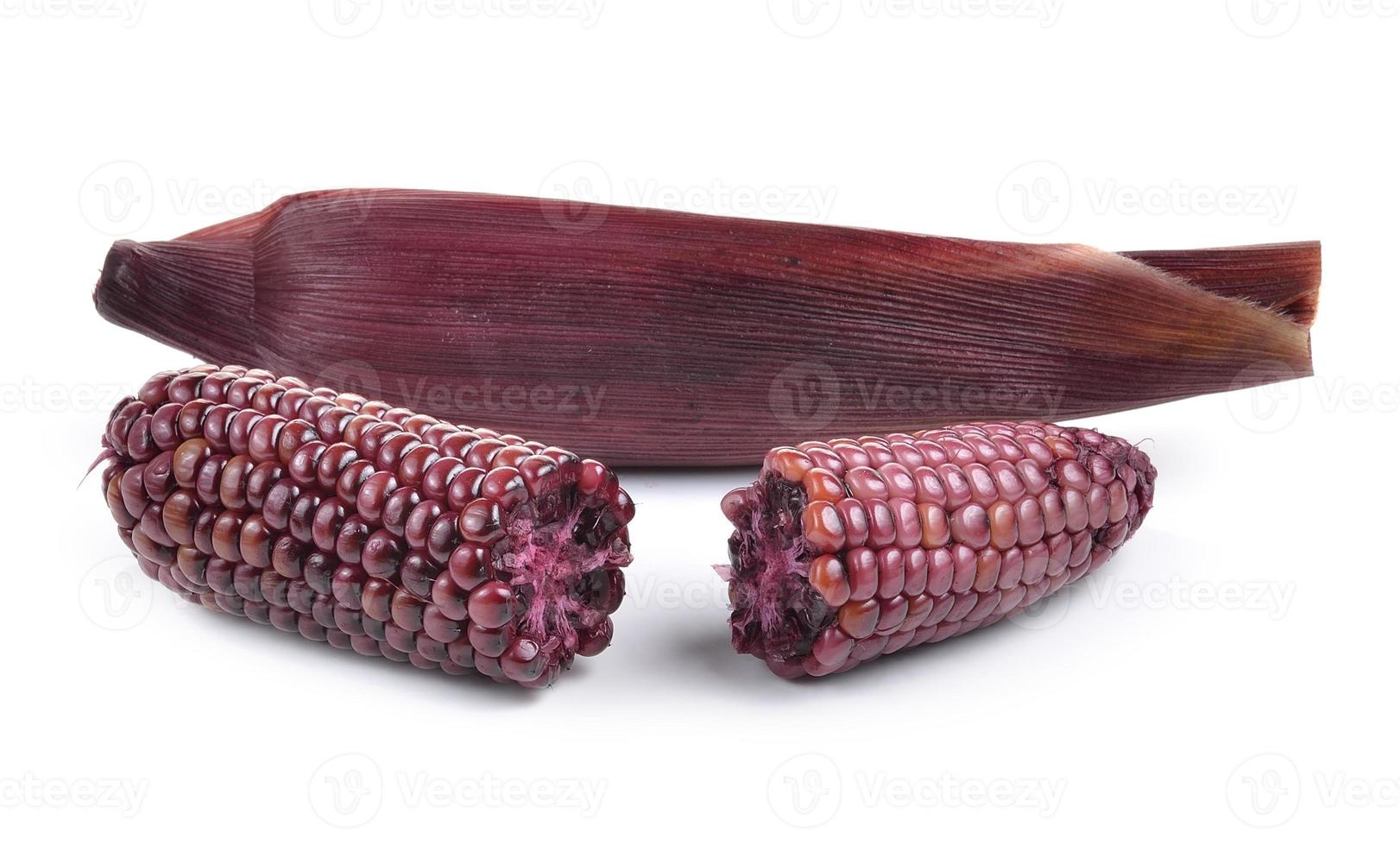 purple corn on white background photo