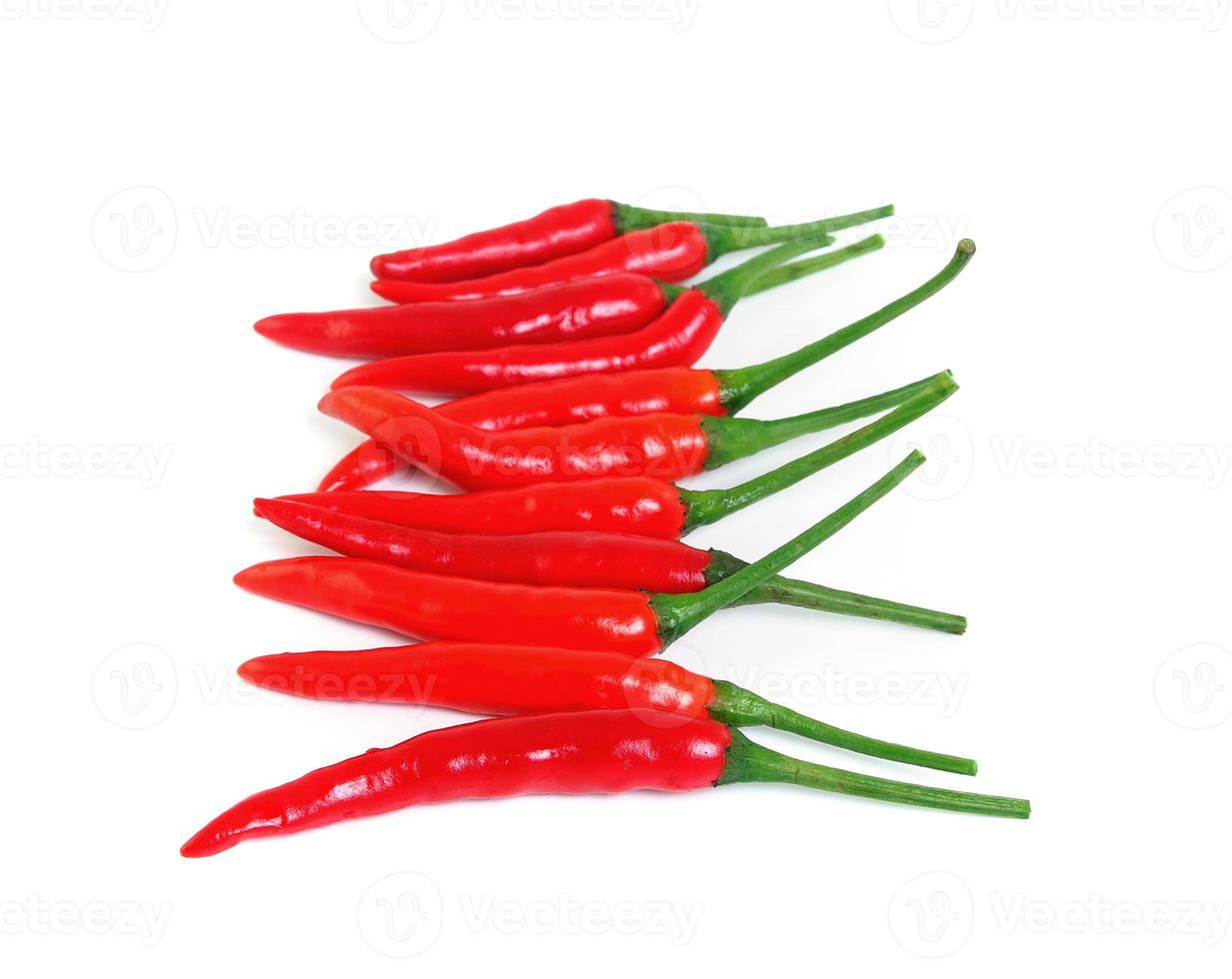 red hot chili pepper isolated on a white background photo