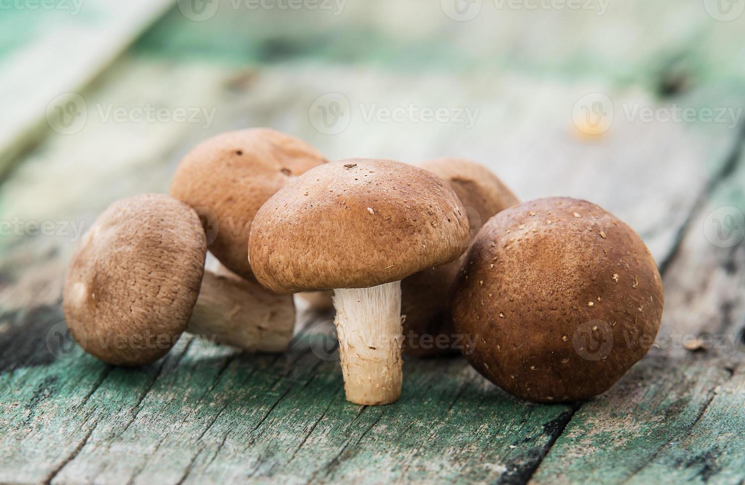 shiitake mushroom on the old wood photo