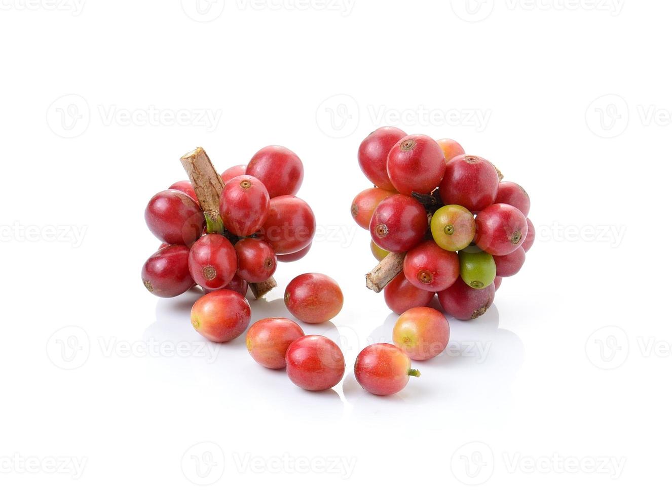 ripe coffee beans on white background photo