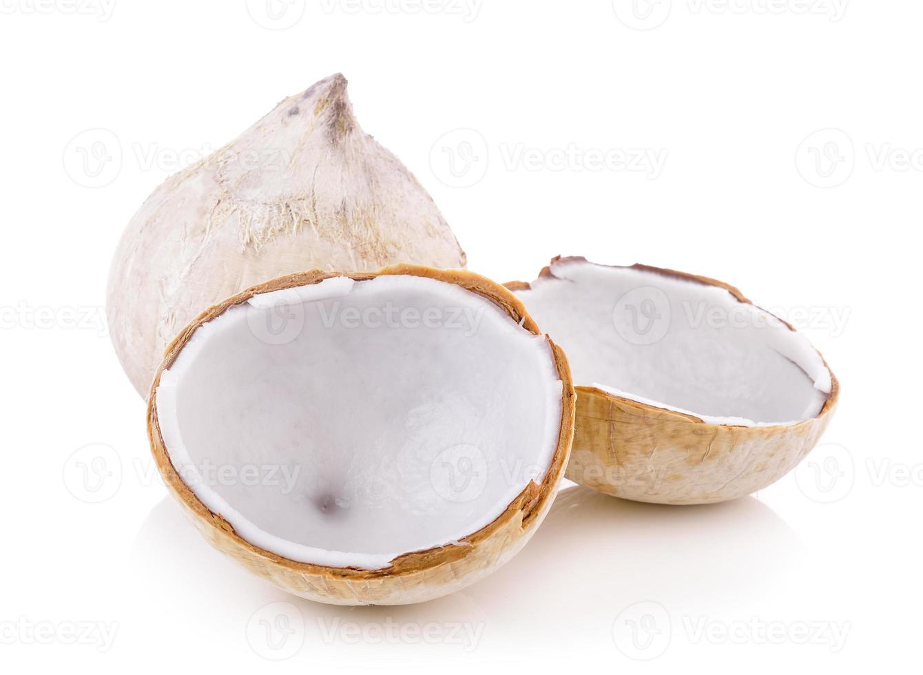 coconut on white background photo