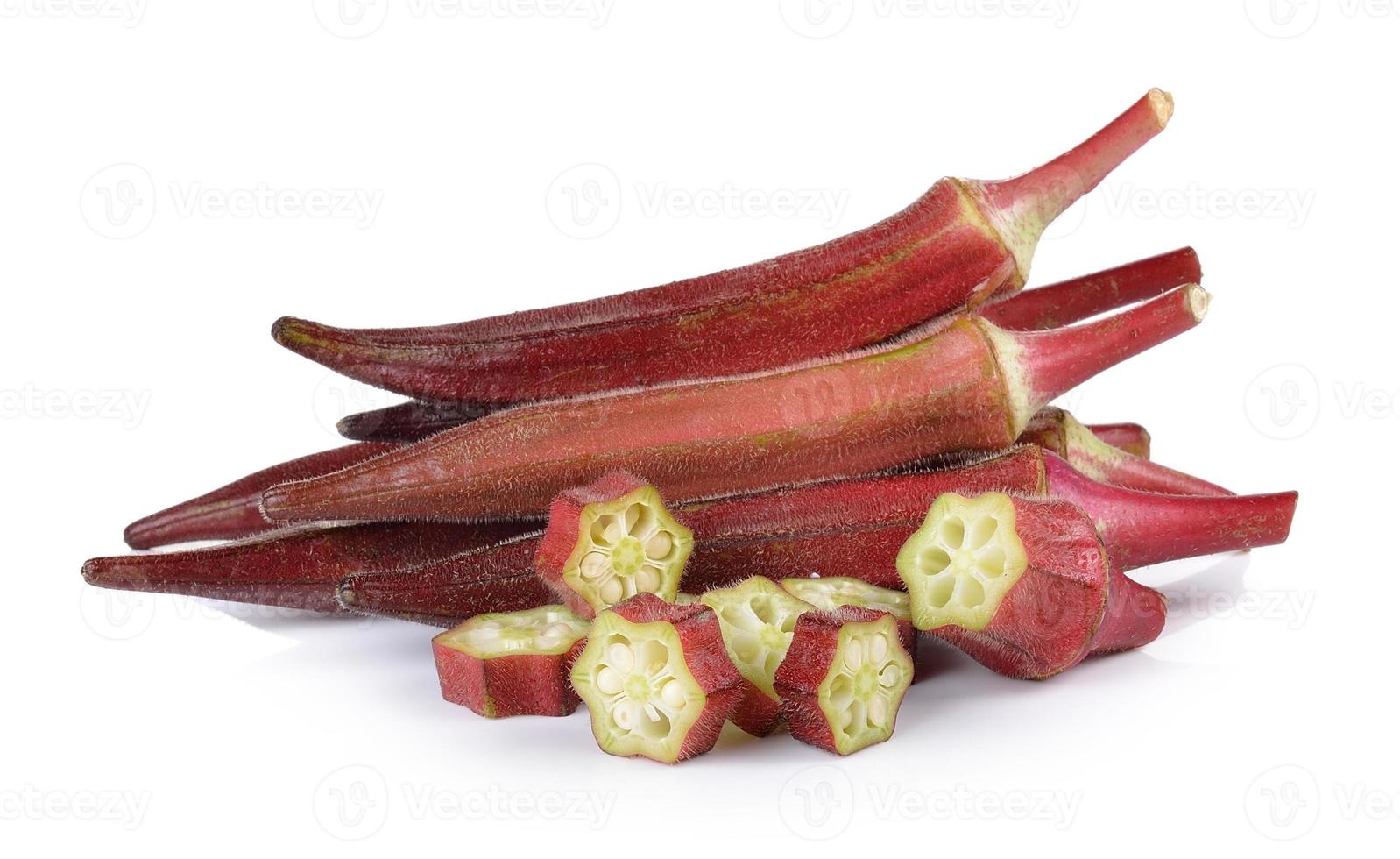 red roselle on white background photo