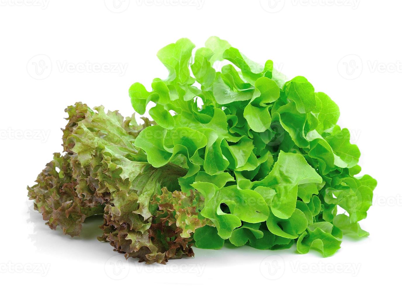 fresh green lettuce leaves isolated on white photo