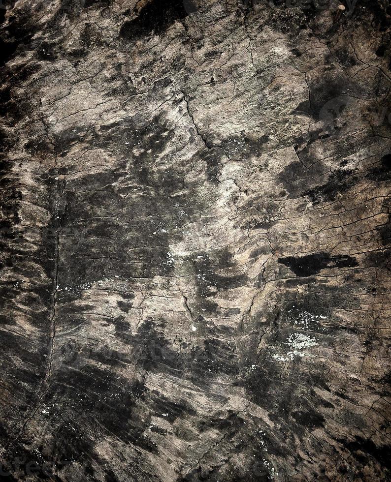 old black wood texture photo