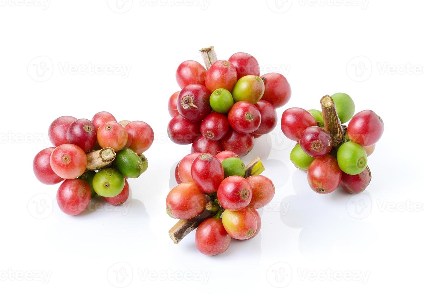 ripe coffee beans on white background photo