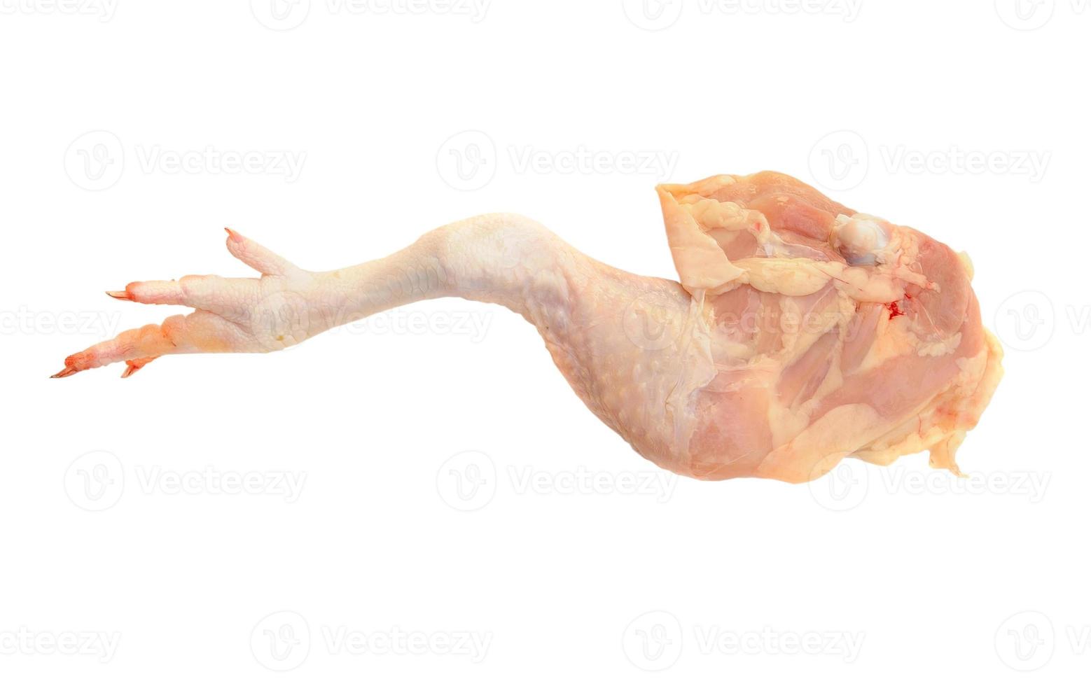 pierna de pollo sobre un fondo blanco foto