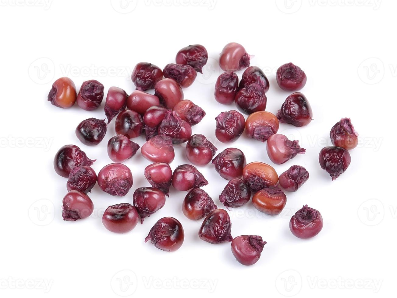 purple corn seeds  on white background photo