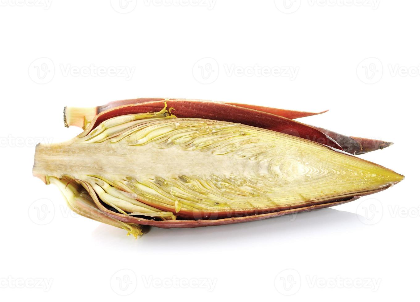 banana blossom on white background photo