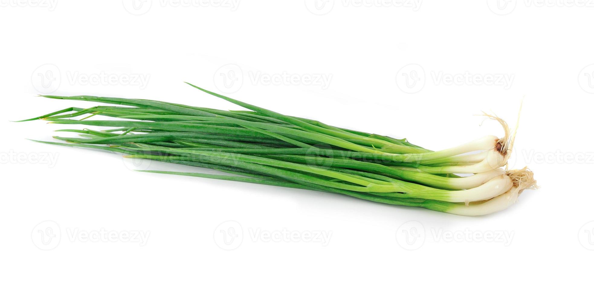 Green Onion on white background photo