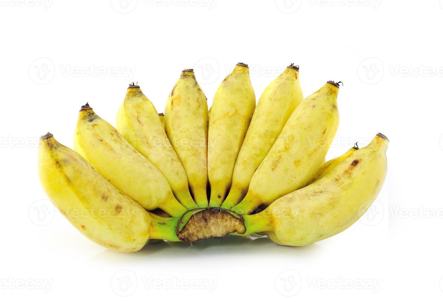 plátano cultivado maduro foto