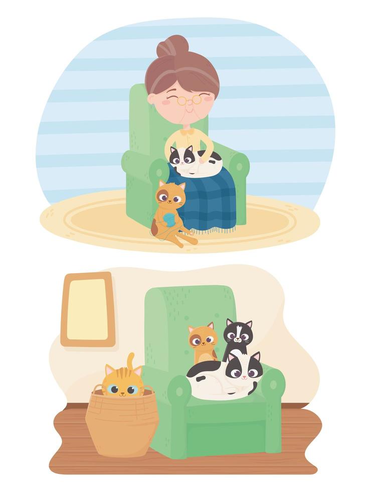 cats make me happy, old woman sitting with cat and kittens in sofa basket vector