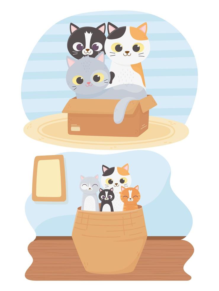 los gatos me hacen feliz, lindos gatitos en caja y dibujos animados de canasta de mimbre vector