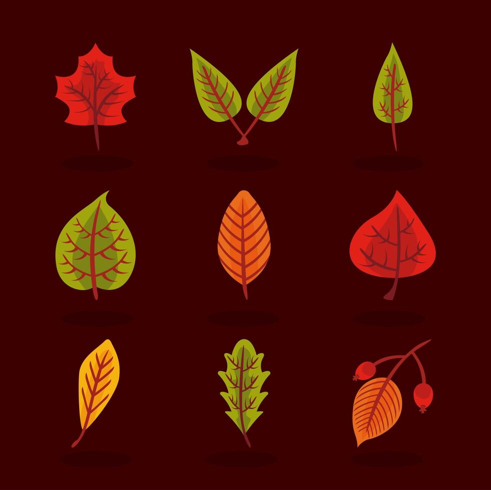 bundle of nine autumn leaves flat style icons vector