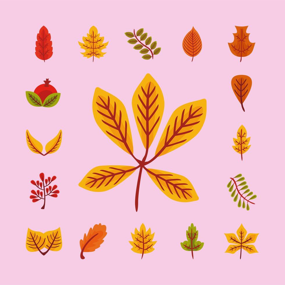 bundle of twenty five autumn leaves flat style vector