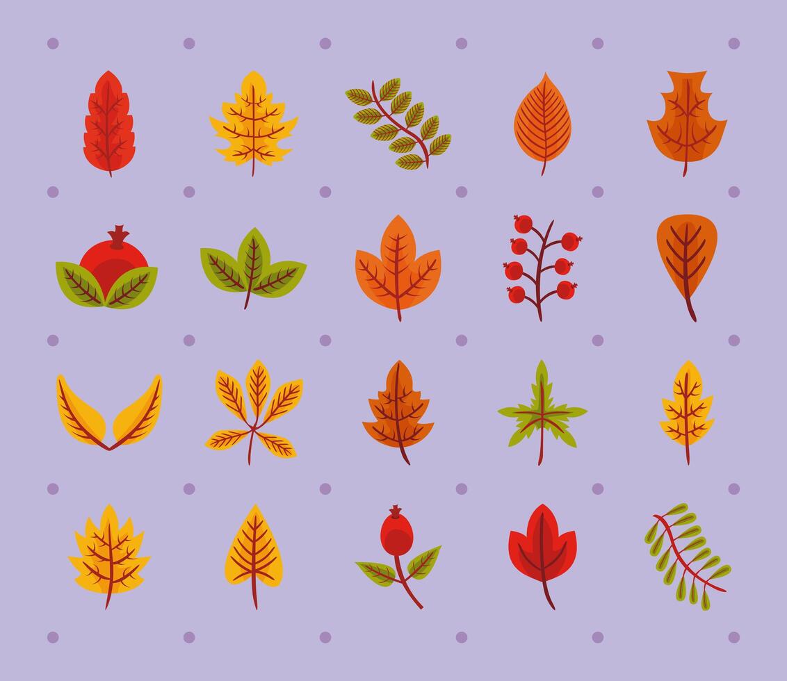 bundle of twenty autumn leaves flat style icons vector