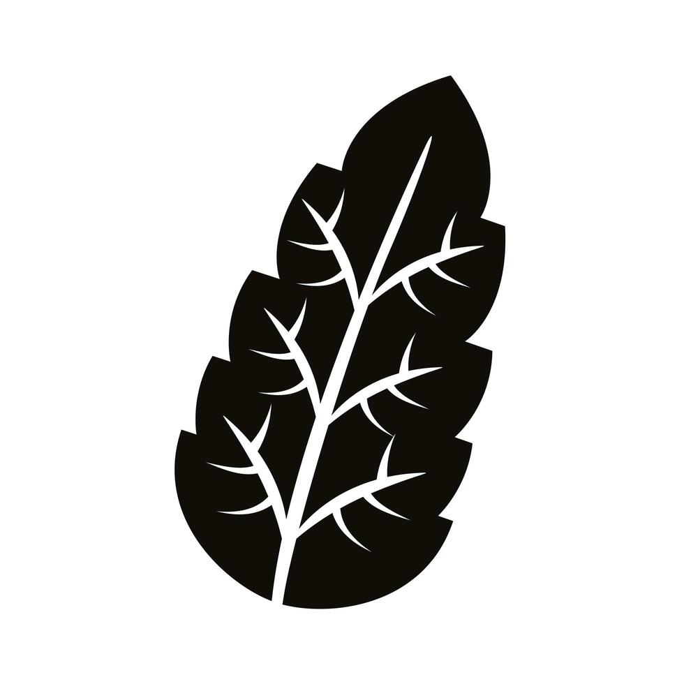 autum serrated leaf silhouette style icon vector