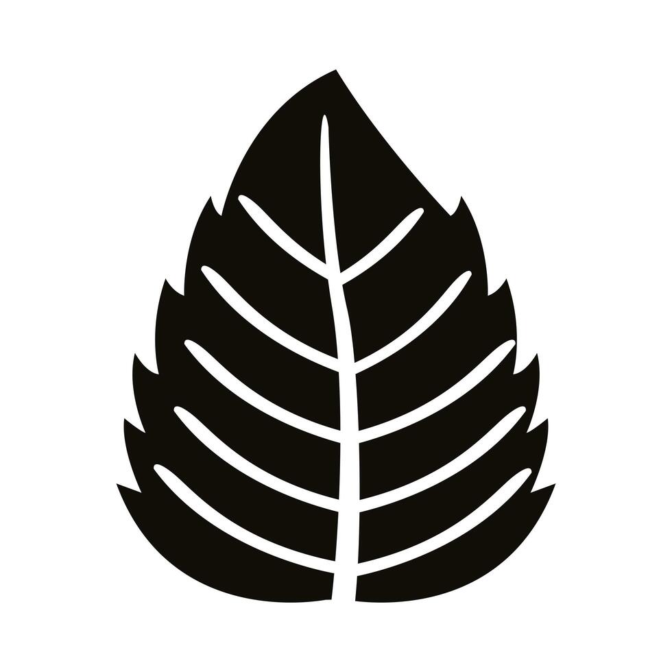 autum serrated leaf silhouette style icon vector