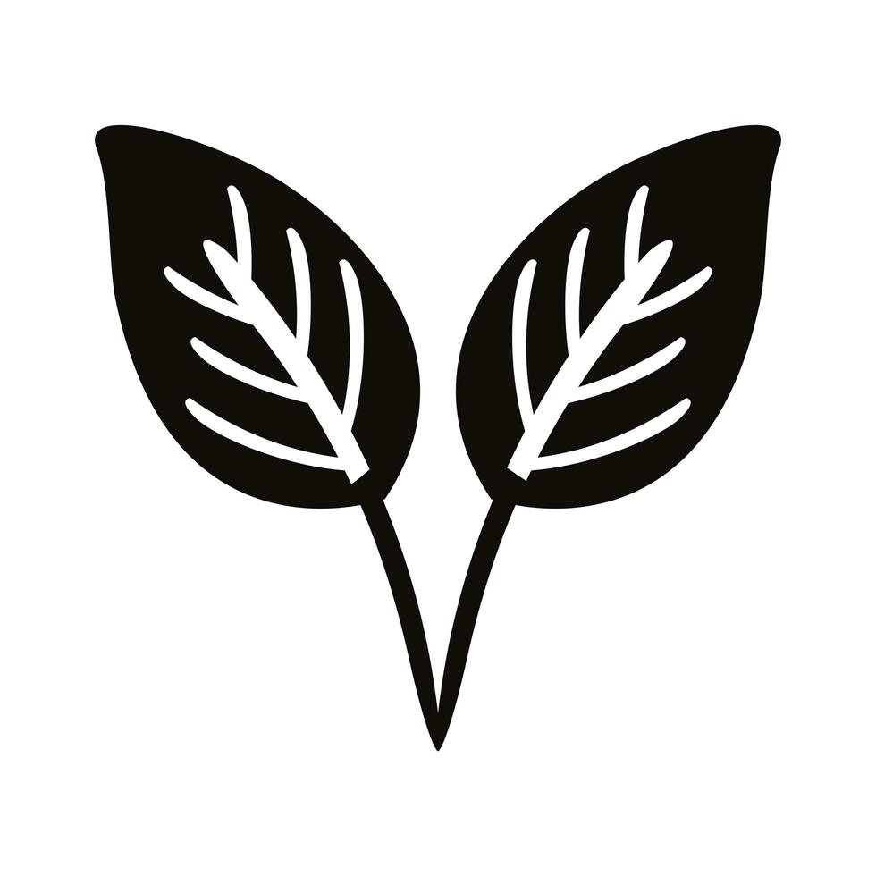 autum ovate leafs silhouette style icon vector
