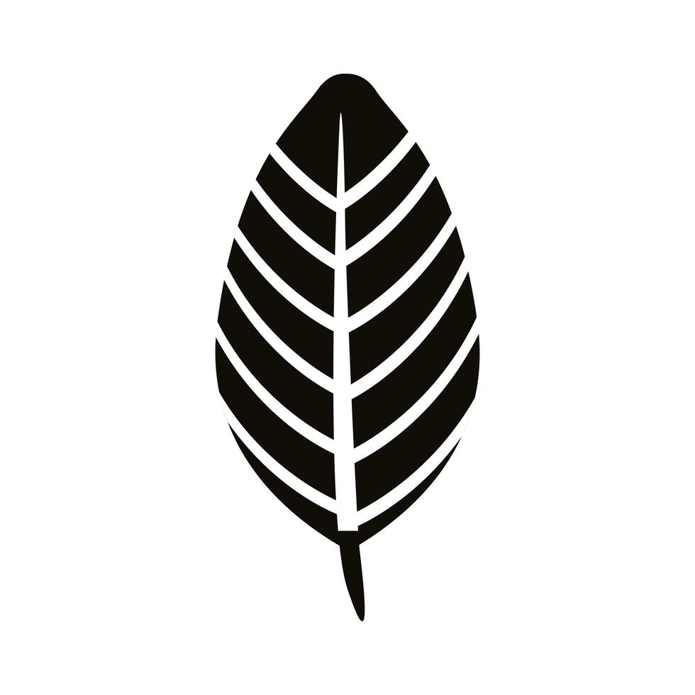 autum lanceolate leaf silhouette style icon vector