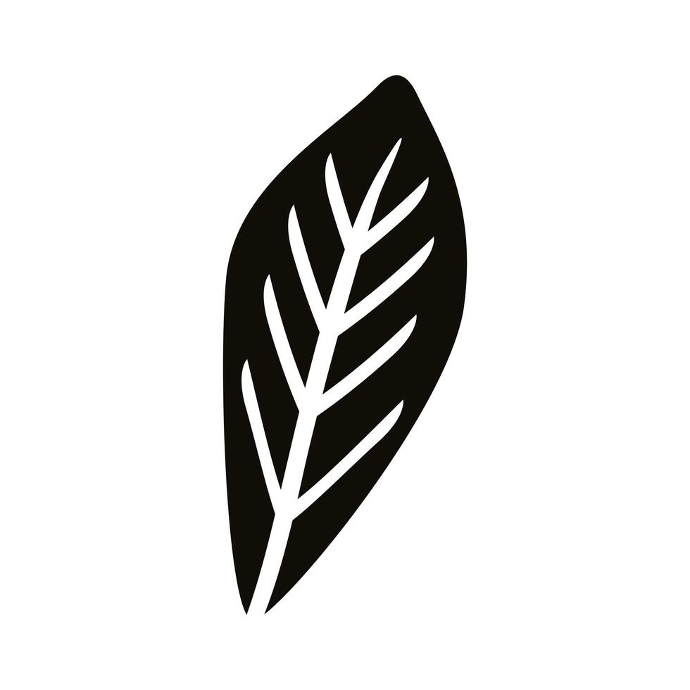 autum lanceolate leaf silhouette style icon vector