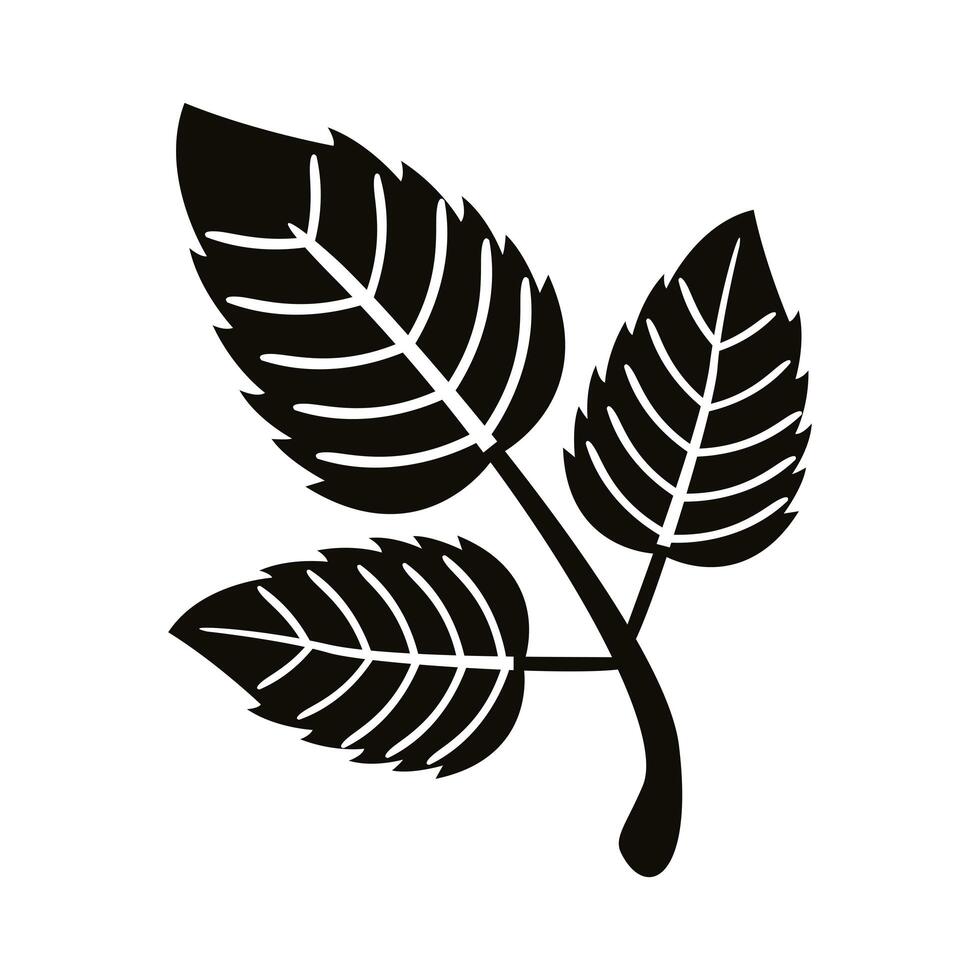 autum serrateds leafs silhouette style icon vector