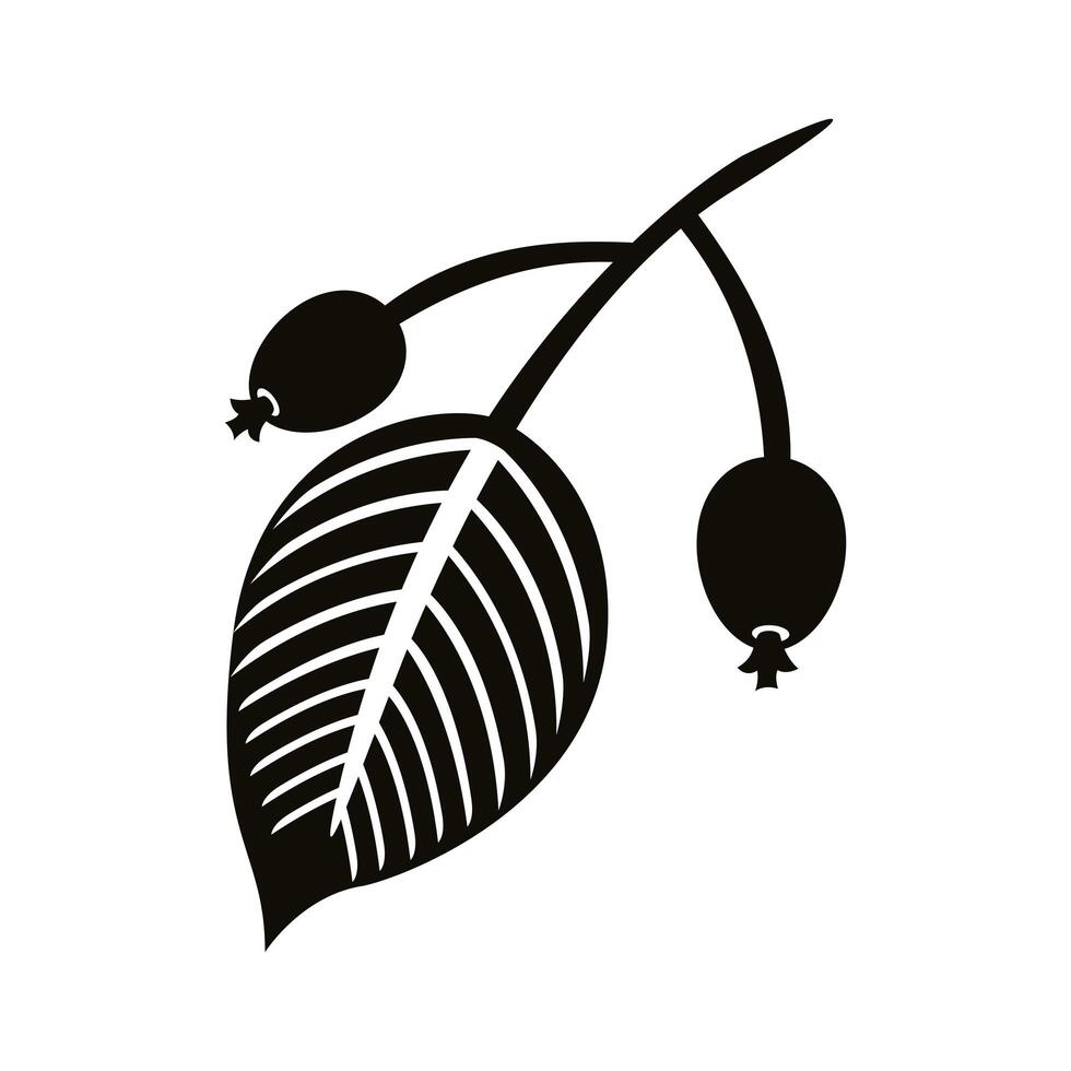 autum ovate leafs with grains silhouette style icon vector