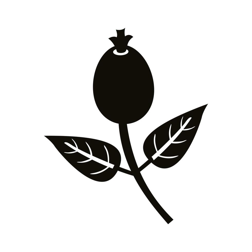 autum ovates leafs with seed silhouette style icon vector
