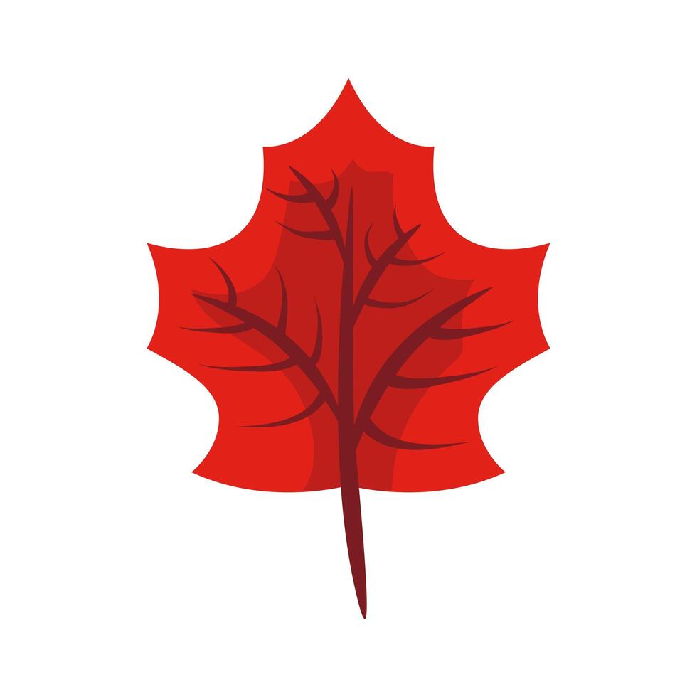 autum webbed leaf flat style icon vector