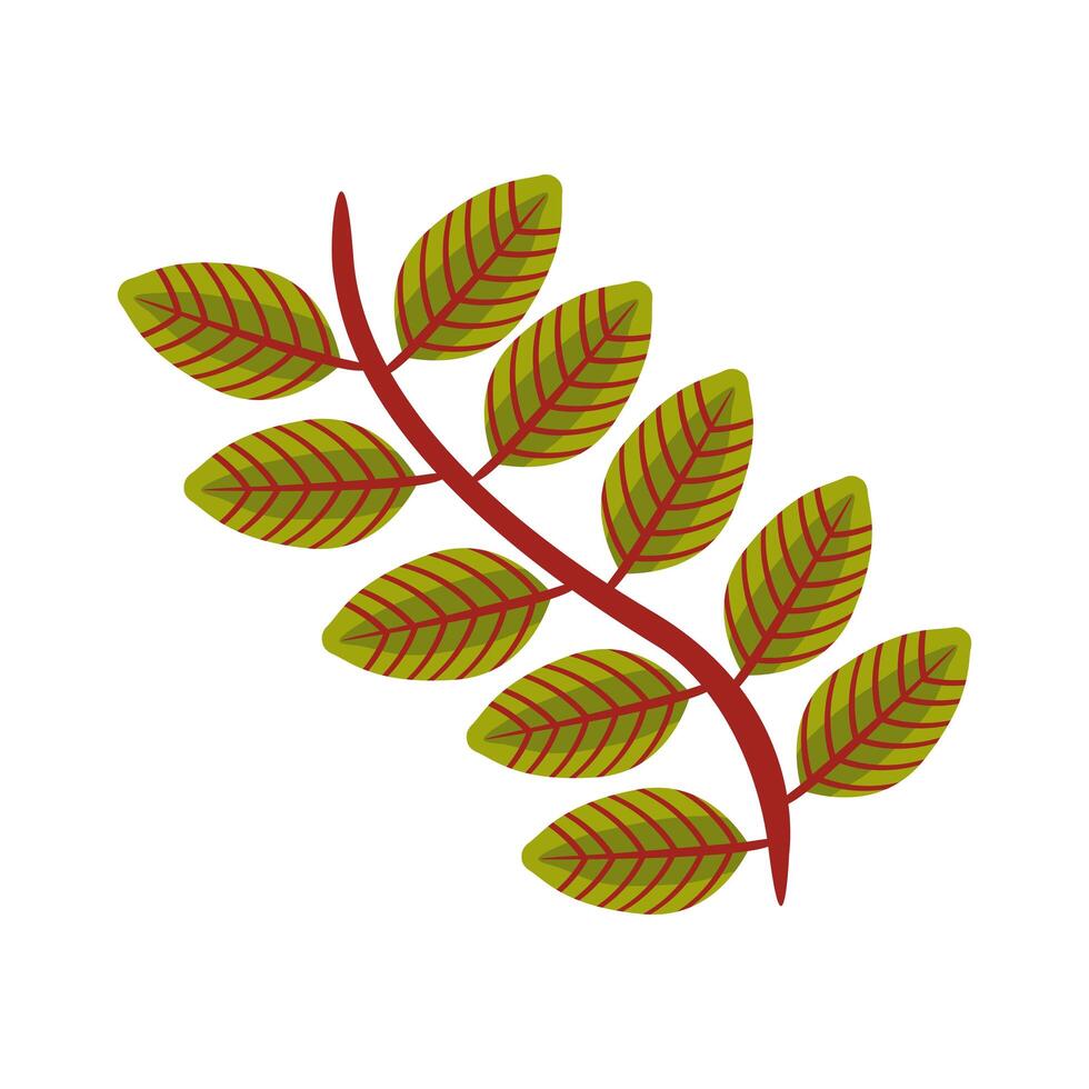 autum pinnate leaf flat style icon vector