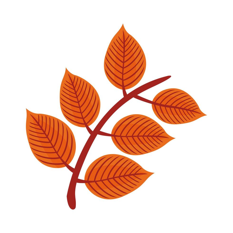 autum pinnate leaf flat style icon vector