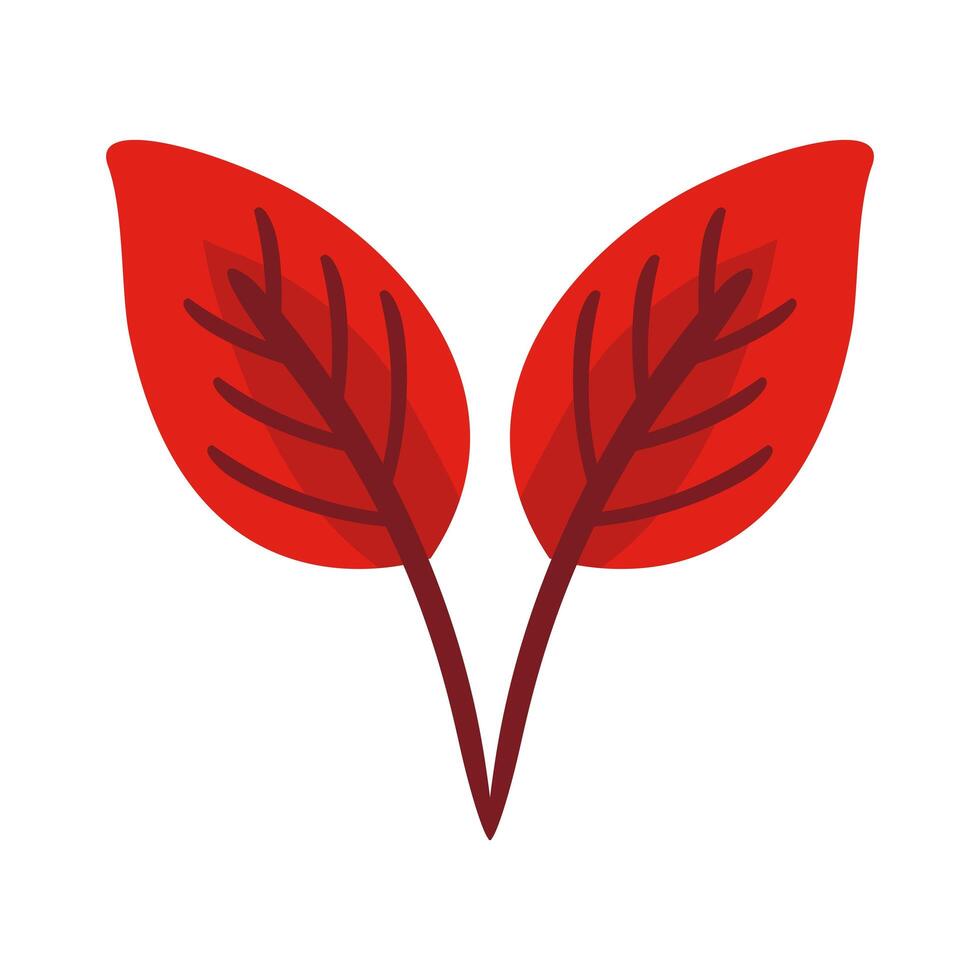 autum ovate leafs flat style icon vector