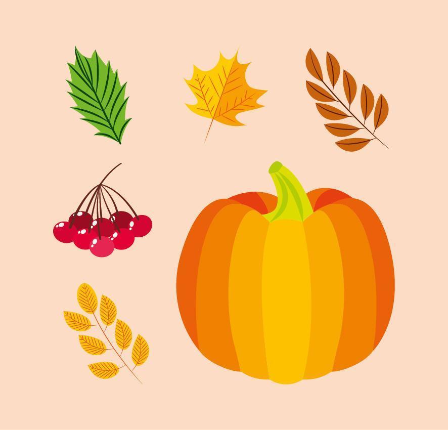 otoño, icono, conjunto, vector, diseño vector