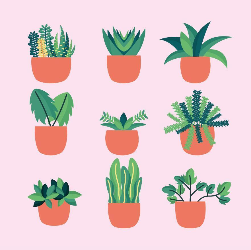 Isolated houseplants inside pots vector design