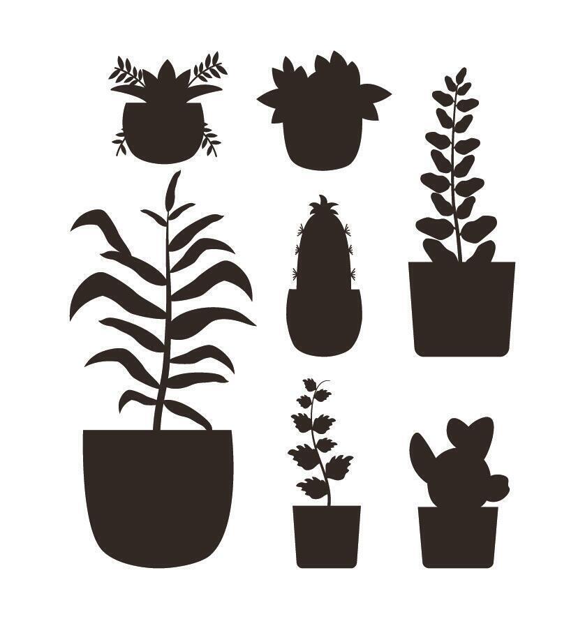 Isolated houseplants inside pots vector design