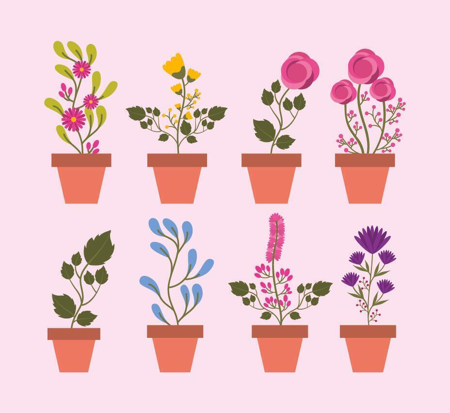 Plantas de interior aisladas dentro de macetas de diseño vectorial vector