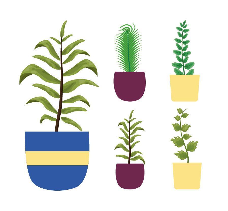 Plantas de interior aisladas dentro de macetas de diseño vectorial vector