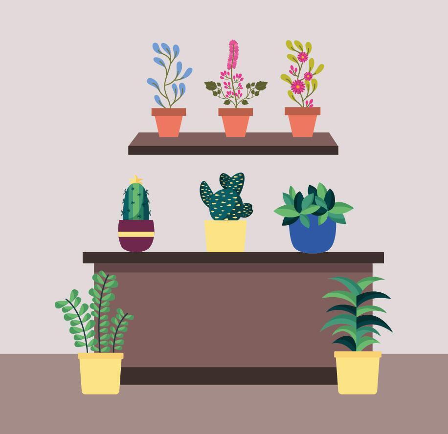 Isolated houseplants inside pots vector design