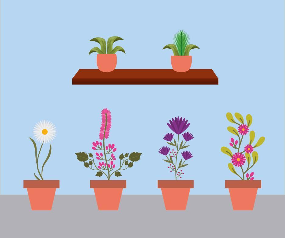 Plantas de interior aisladas dentro de macetas de diseño vectorial vector