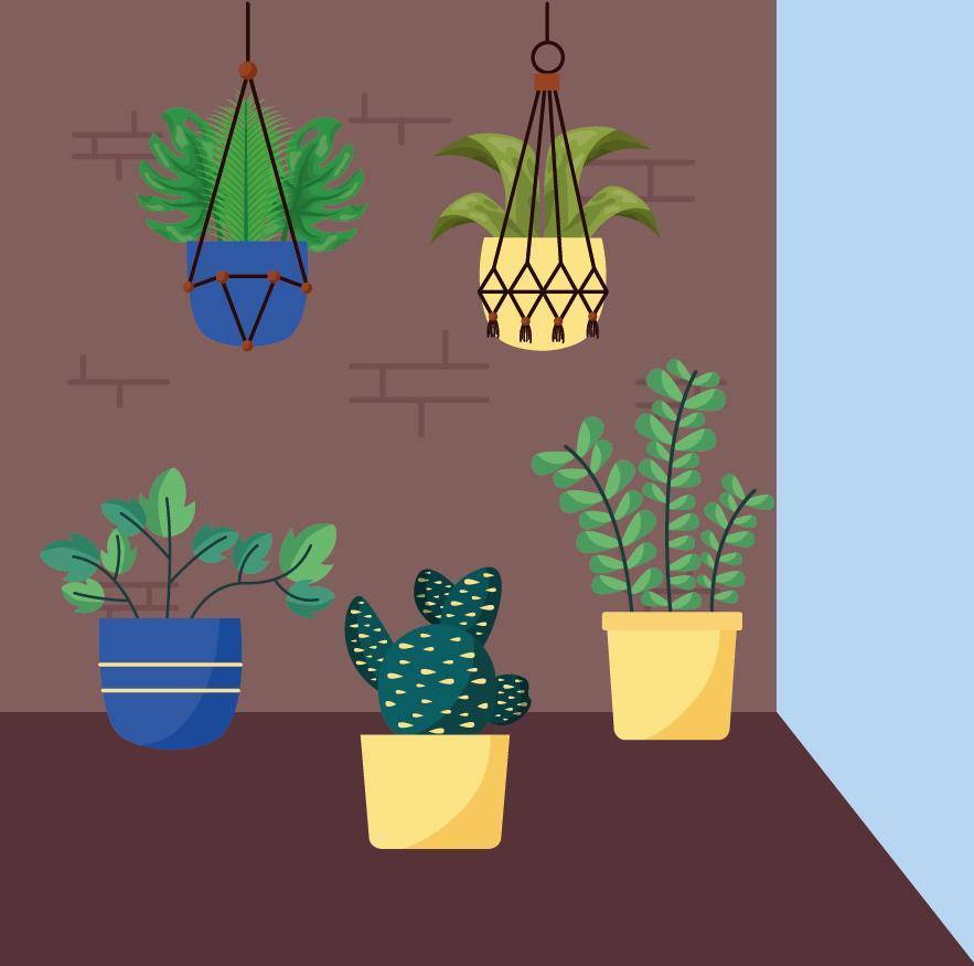 Isolated houseplants inside pots vector design