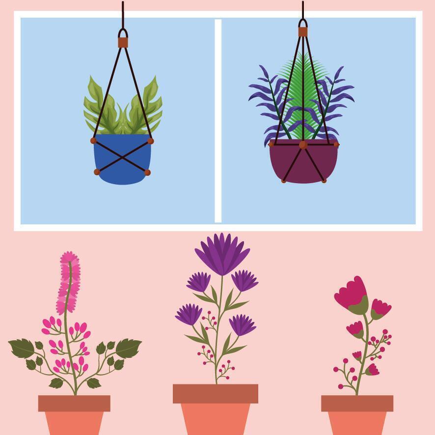 Isolated houseplants inside pots vector design