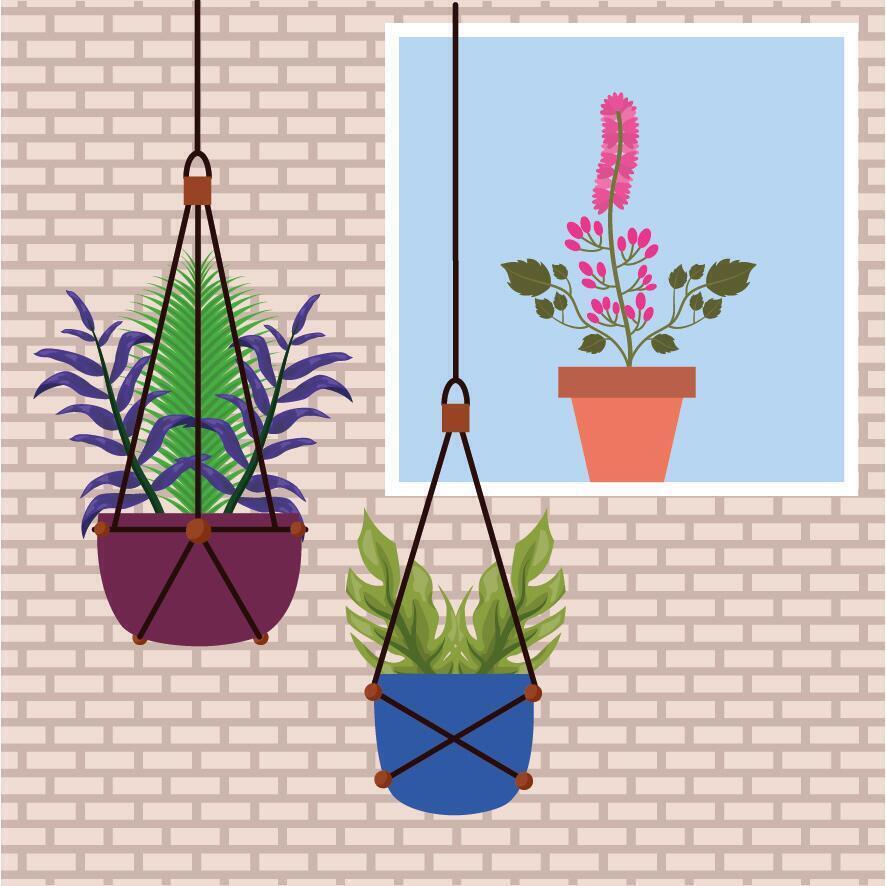 Isolated houseplants inside pots vector design