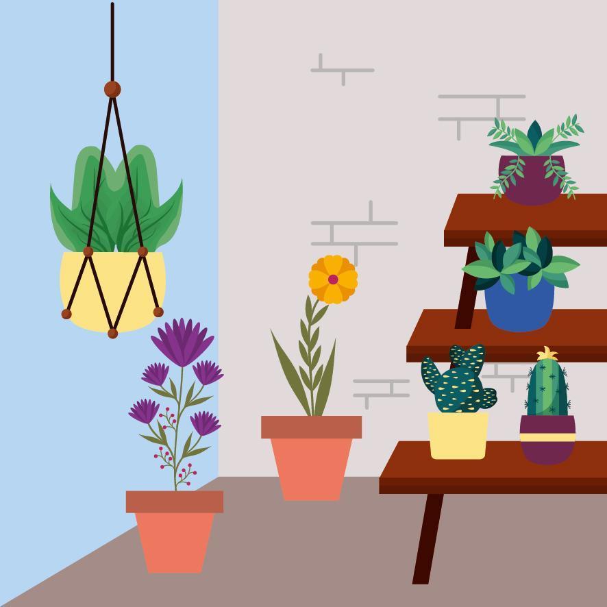 Isolated houseplants inside pots vector design