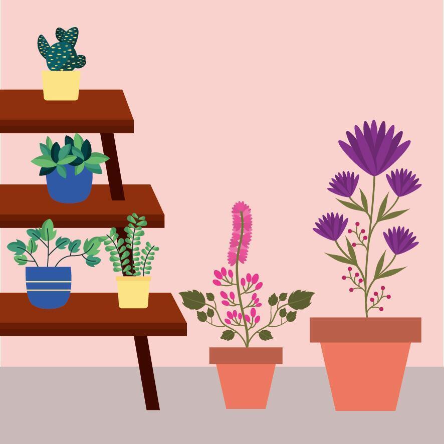 Isolated houseplants inside pots vector design