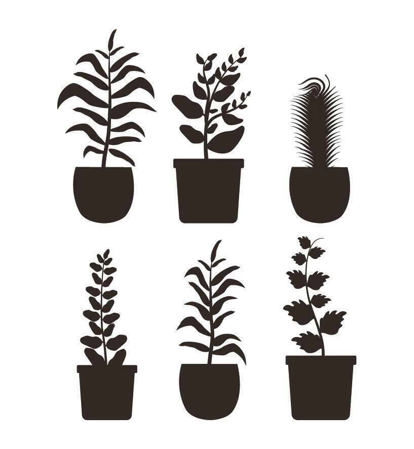 Isolated houseplants inside pots vector design