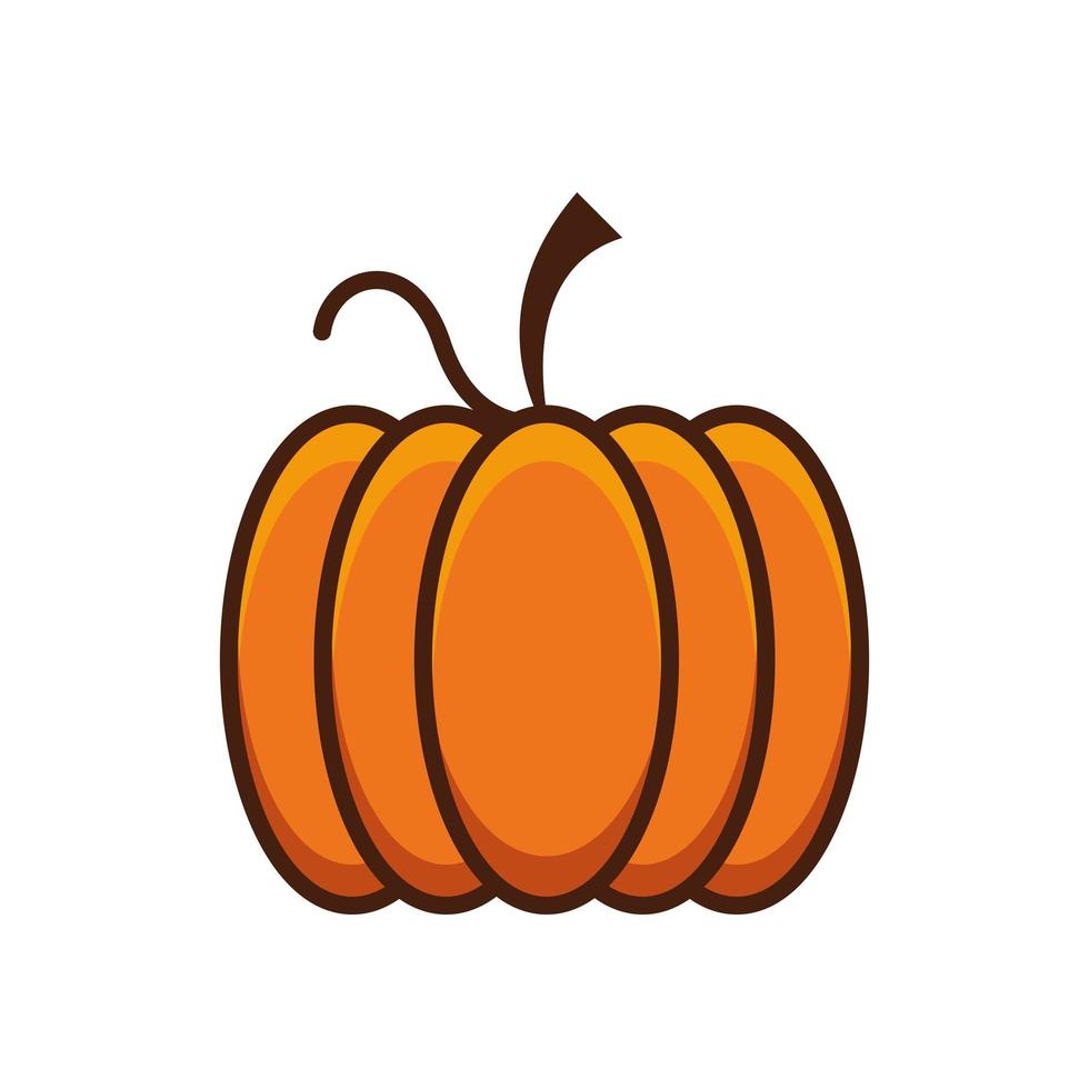 acción de gracias, calabaza, vegetal, aislado, icono vector