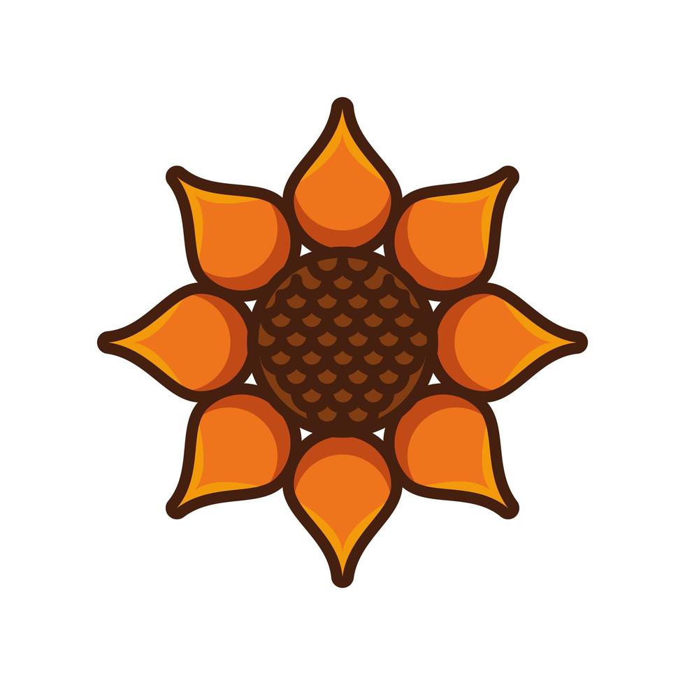 beautiful sunflower garden isolated icon vector