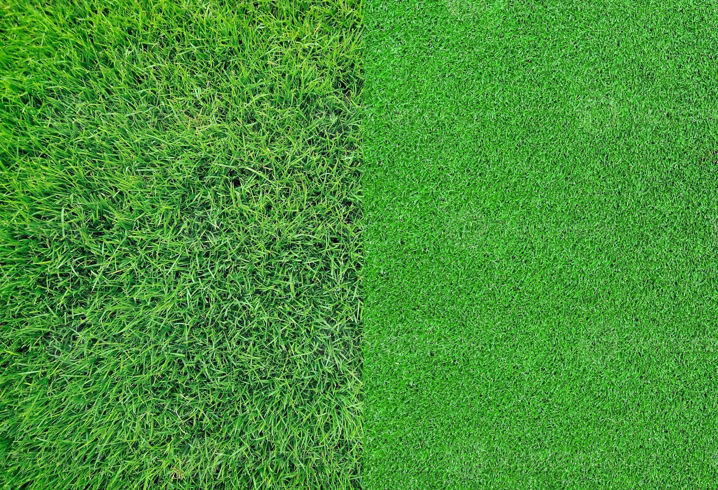 Green grass background texture photo