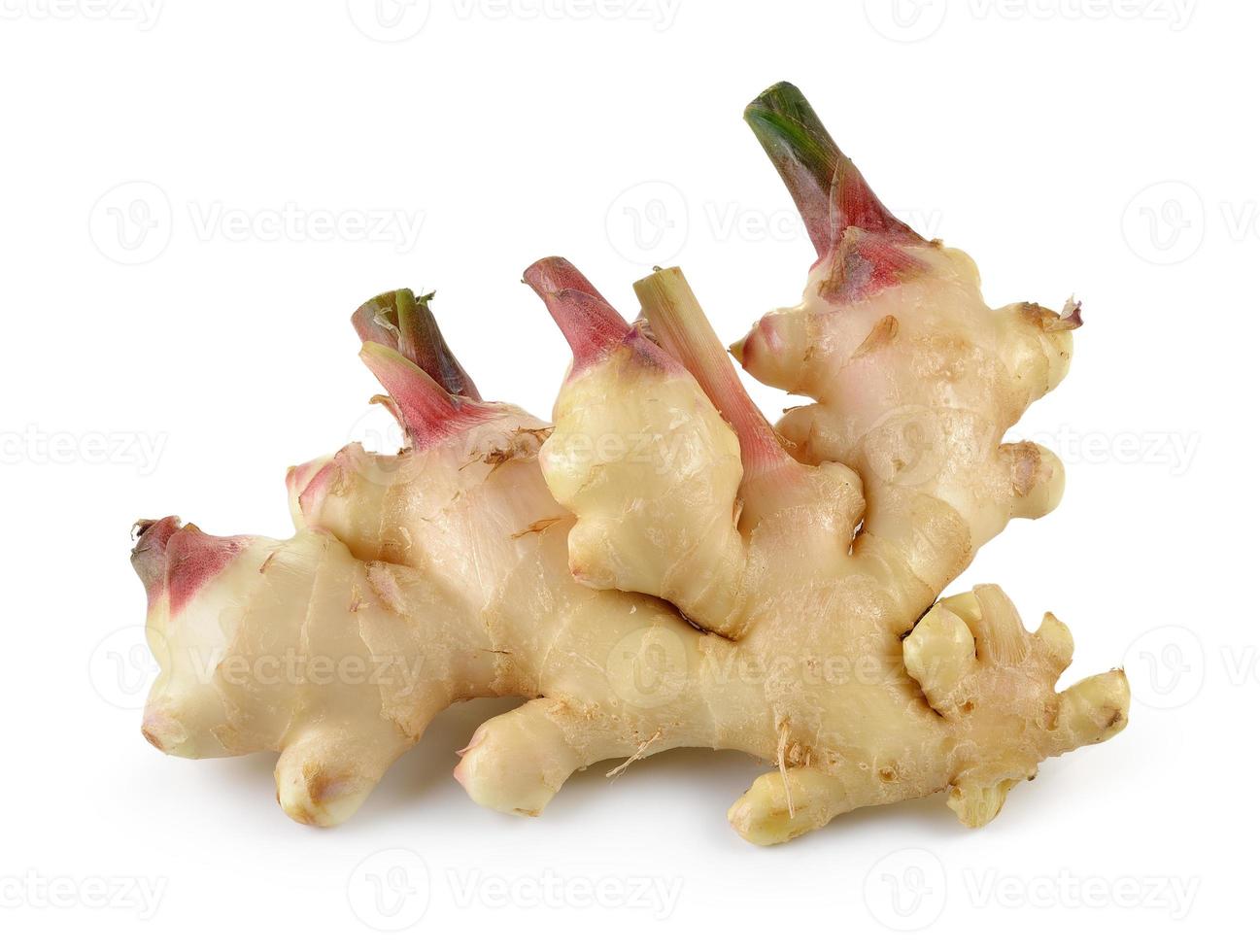 ginger on white background photo